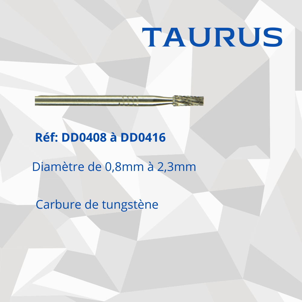 fraise Carbure de tungstène cylindrique Taurus