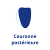 couronne posterieure.png